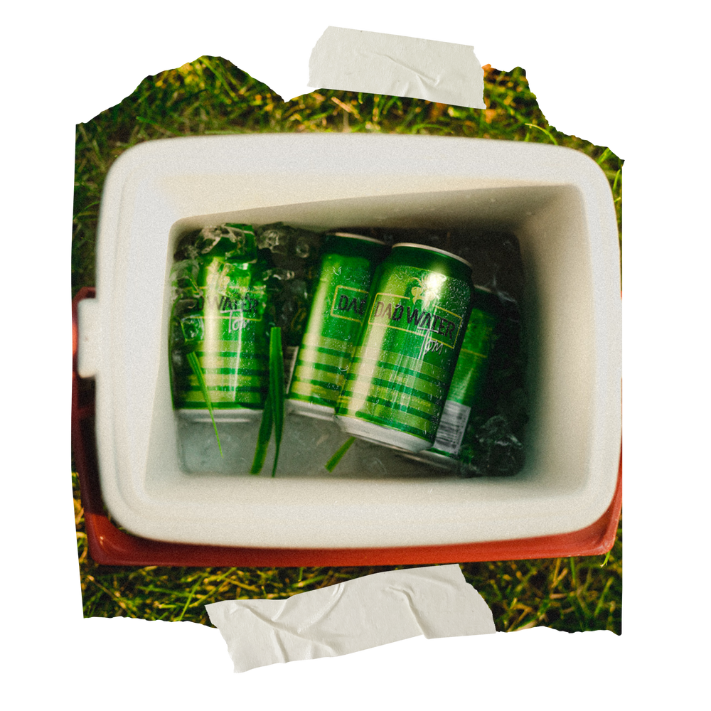 Image of the Tom cans in a cooler